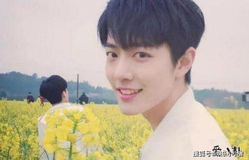 娱乐圈吃瓜合集博君一肖,娱乐圈的甜蜜瓜田，甜蜜与争议并存