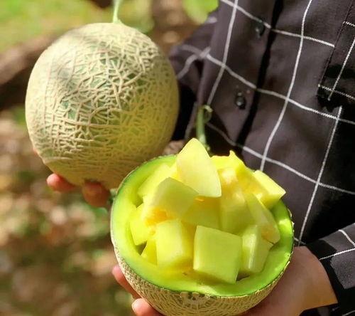 娱乐圈吃瓜套餐有哪些,盘点年度热门八卦事件